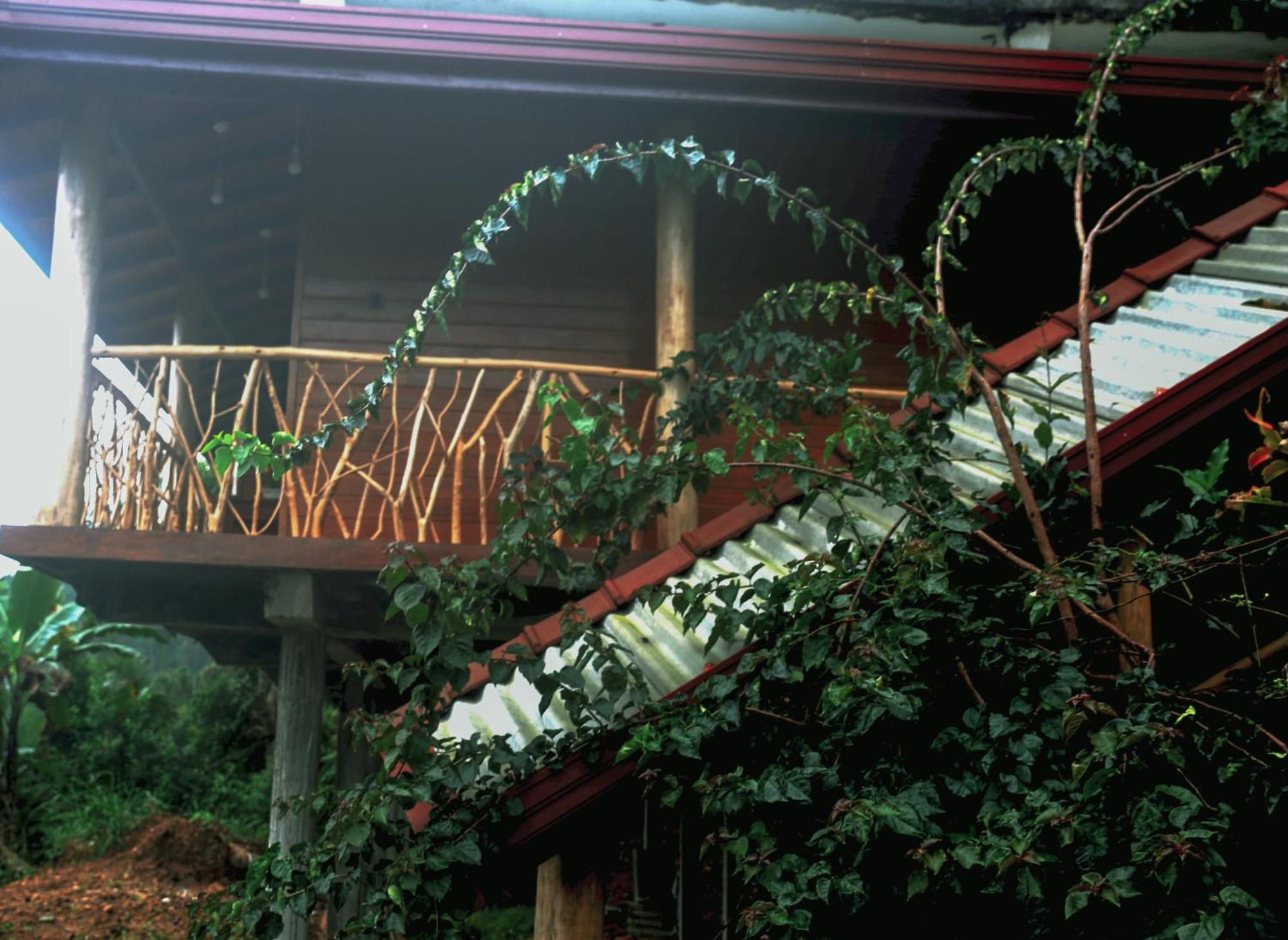The Dream Inn Элла Экстерьер фото
